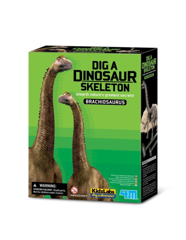 SONAJERO GEOMÉTRICO