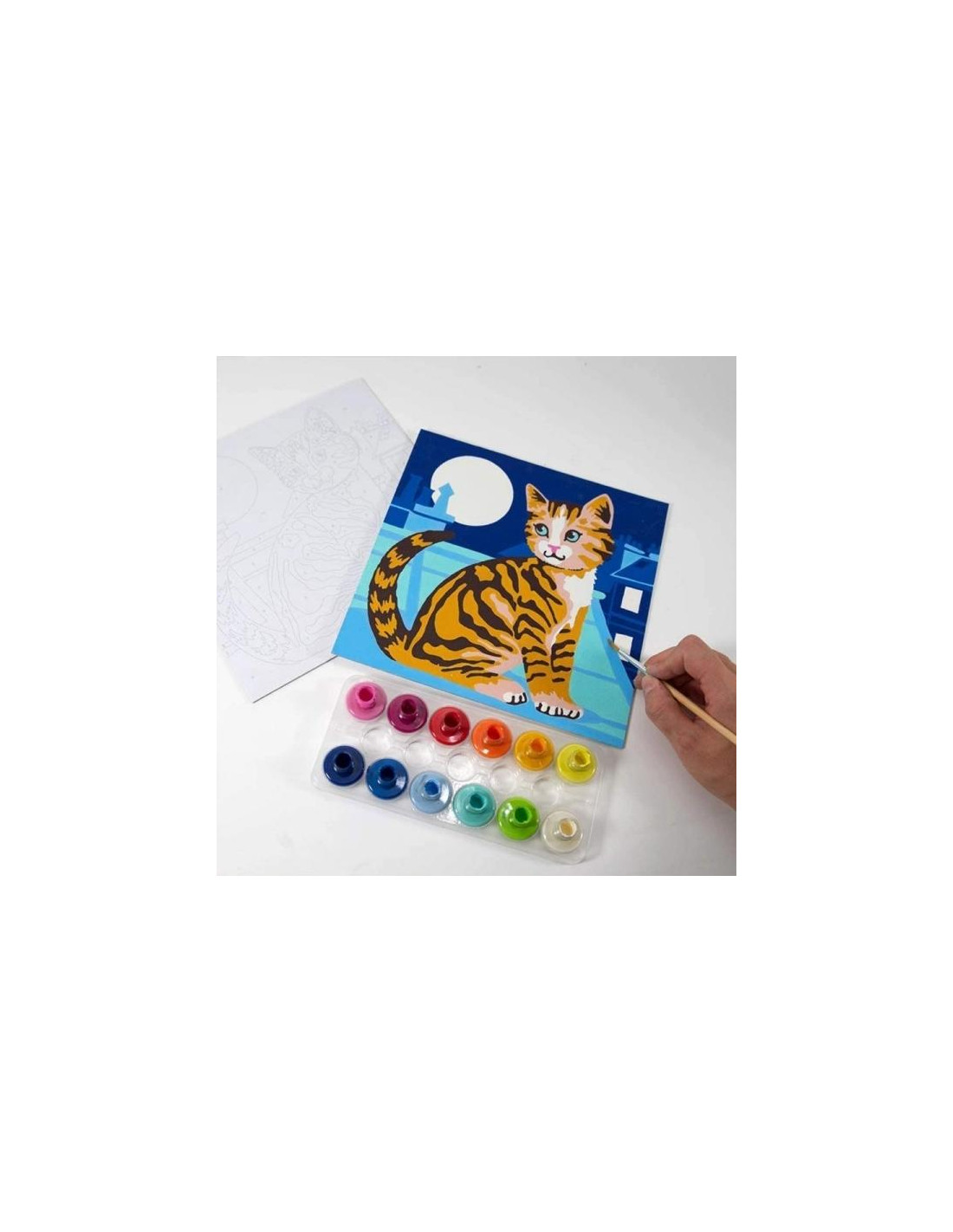 COLORIZZY  GATOS COLORIZZY  GATOS