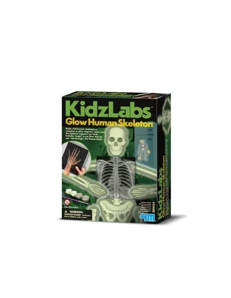 KIDZ LABS/GLOW  HUMAN  SKELETON