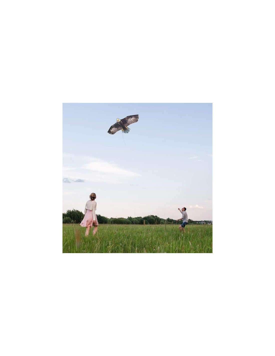 TERRA KIDS. COMETA TERRA KIDS. COMETA