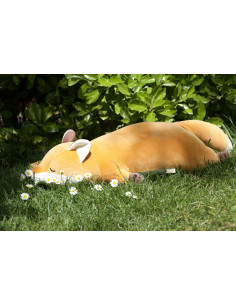 PERRO SHIBA , KOTAROU 52 cm...