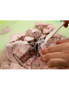 KIDZLABS CREEPY CRAWLY 2