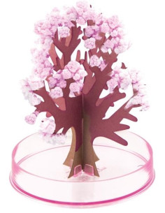 ARBOL MÁGICO OTOÑO 2