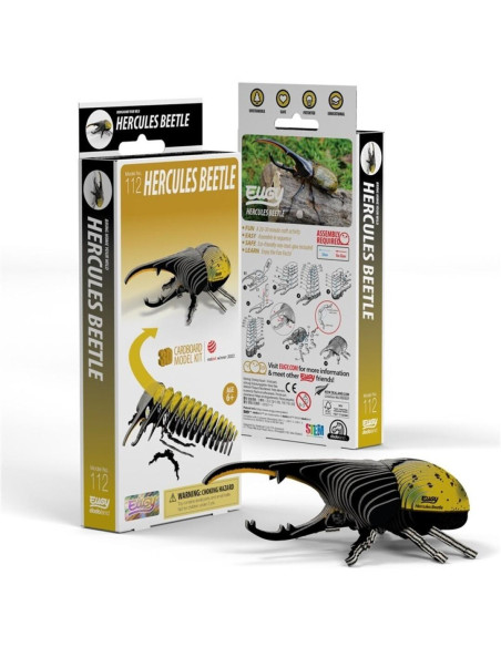EUGY HERCULES BEETLE