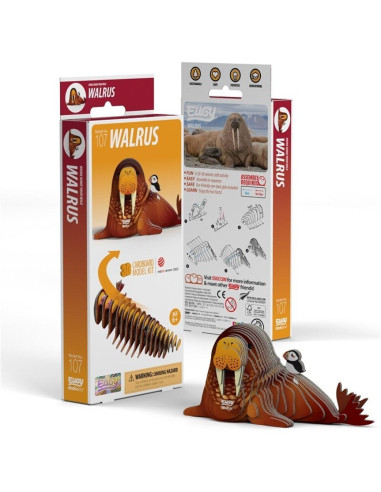 EUGY WALRUS