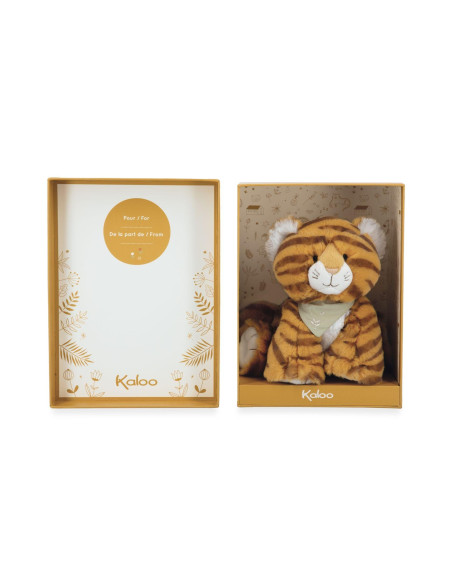 TIGRE 13 cms