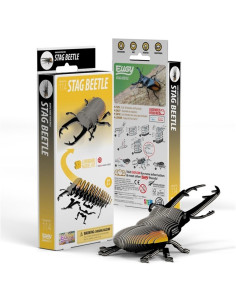 EUGY STAG BEETLE