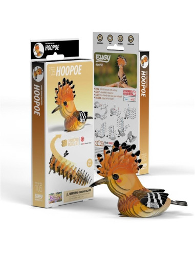 EUGY HOOPOE