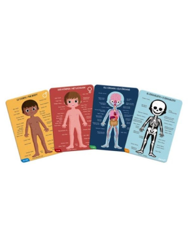 PUZLE EDUCATIVO CUERPO HUMANO