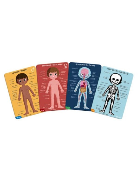 PUZLE EDUCATIVO CUERPO HUMANO