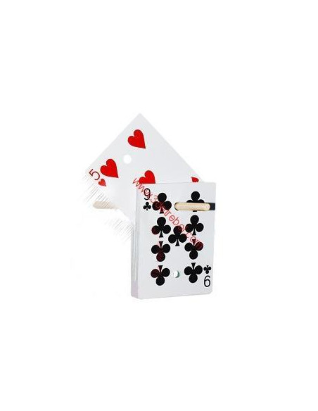 CHINESSE BICYCLE  RISING DECK