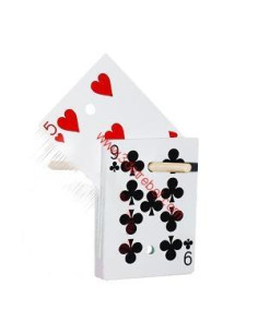 CHINESSE BICYCLE  RISING DECK