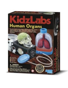 HUMAN ORGANS CIENCIA 4M