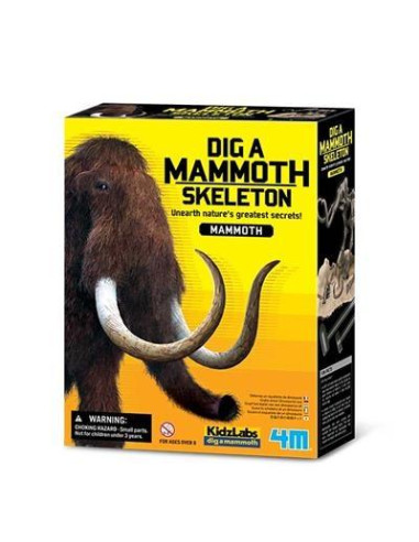 KIDZLABS  PALEONTOLOGÍA  ESQUELETO  MAMUT
