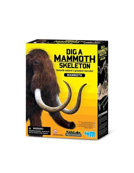 KIDZLABS  PALEONTOLOGÍA  ESQUELETO  MAMUT