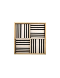 100 BLACK AND WHITE KAPLA 2